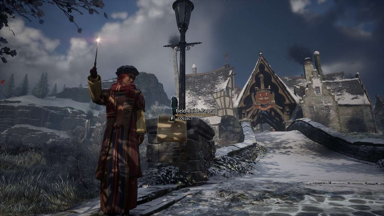 Hogsmeade Field Guide Pages